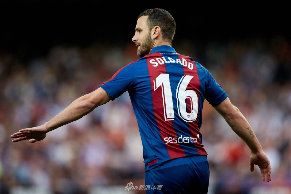 媒体的报道 媒体的报道